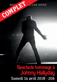 Spectacle hommage à Johnny Hallyday